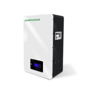 6000 Cycles 48V 51.2V Lithium Ion Lifepo4 Battery Peak 48V 100Ah 5Kwh Wall Mounted Type Solar Panel Batteries Pack System